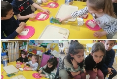 Collage_20230324_103054