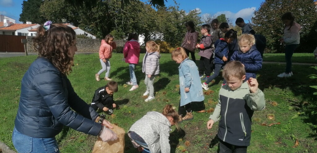 Les GS sont allés ramasser des châtaignes.