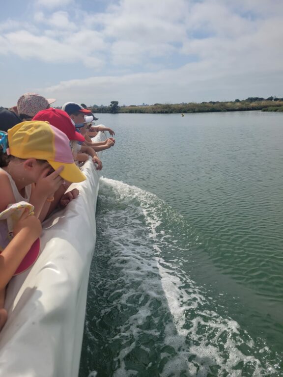 3 Promenade en bateau (16)