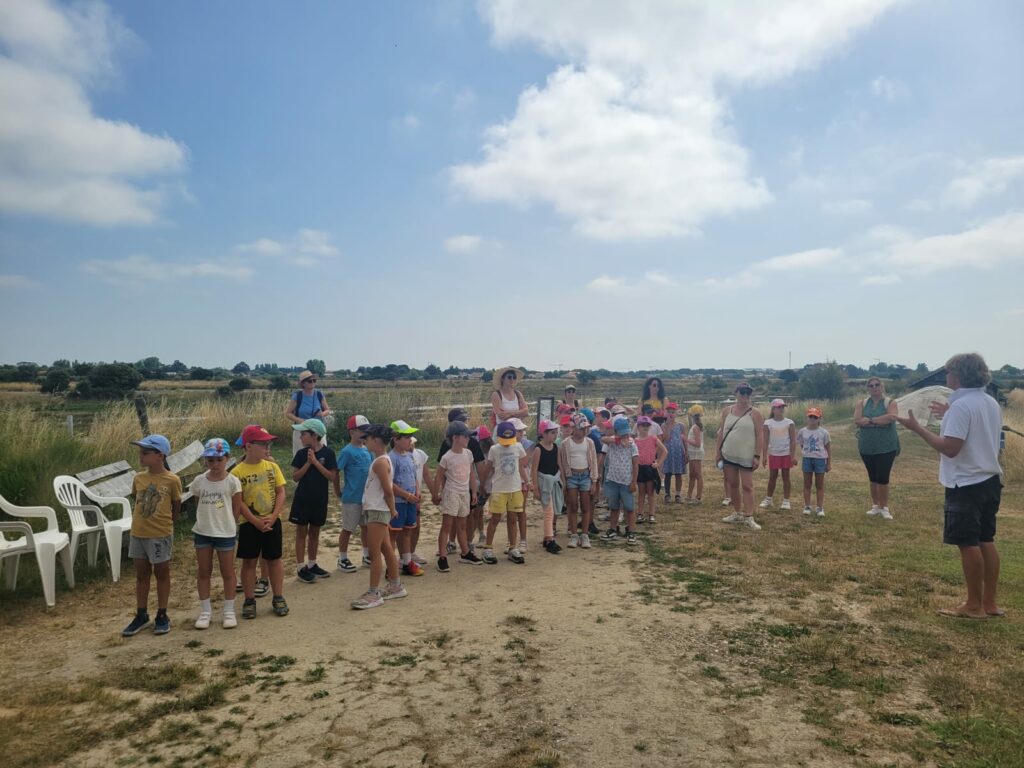 3 Promenade en bateau (18)