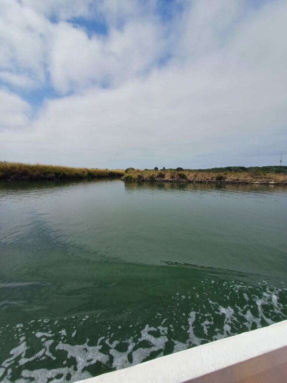 3 Promenade en bateau (27)