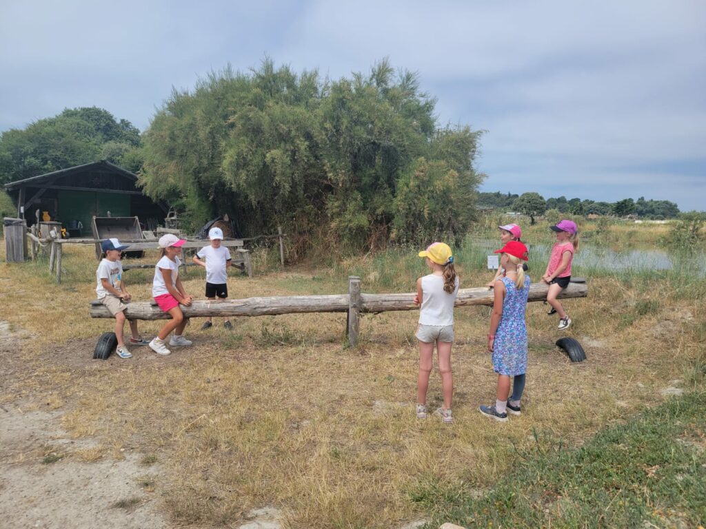 5 Parc d'aventures (98)