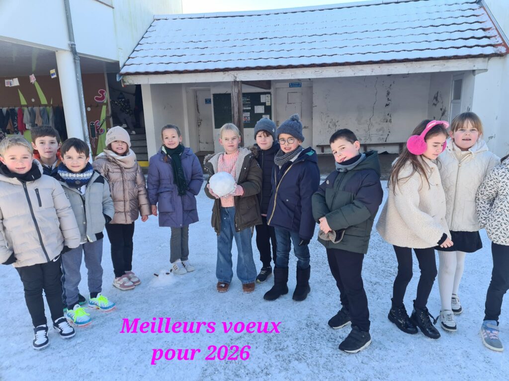 Meilleurs voeux pour 2026 : un peu de neige !