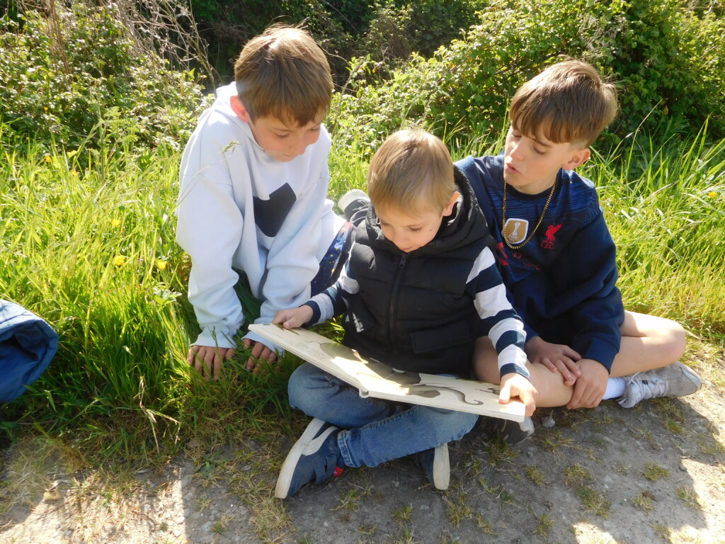 Histoires dans les marais